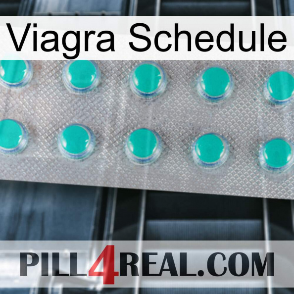 Viagra Schedule 28.jpg